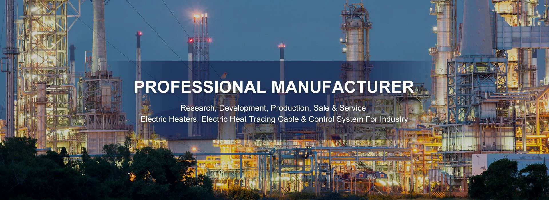 PROFESSIONAL MANUFACTURER